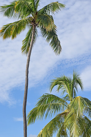 DSC_0418