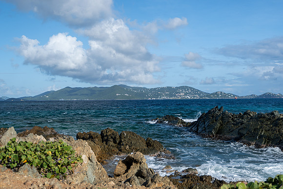DSC_6001