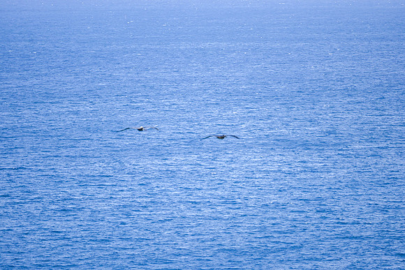 IMG_7334