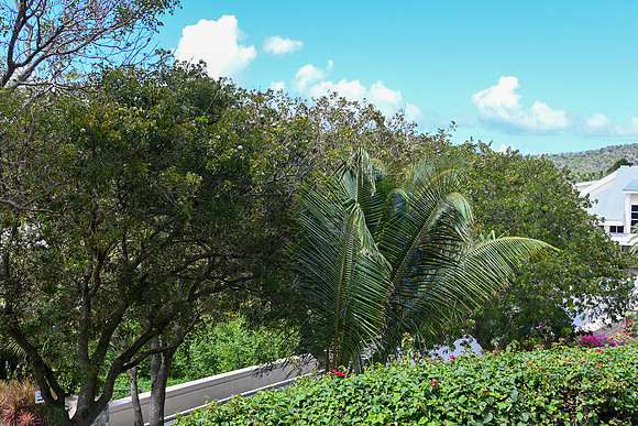 DSC_3019