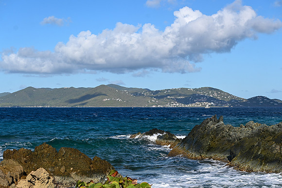 DSC_4755